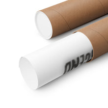 Load image into Gallery viewer, LNGAIP Matte Vertical Posters