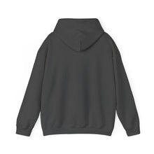 Load image into Gallery viewer, Shoot The Place Up Unisex Heavy Blend™ Hooded Sweatshirt